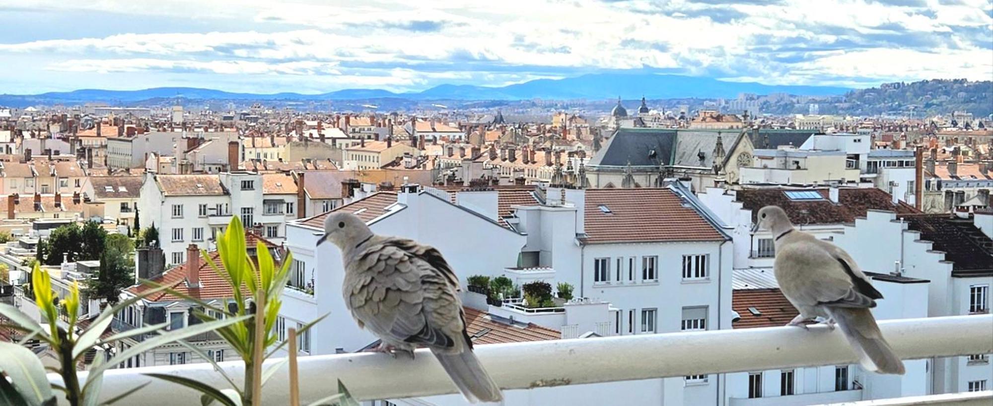Plein Sud Terrasse Climatisation Garage Netflix Apartamento Lyon Exterior foto